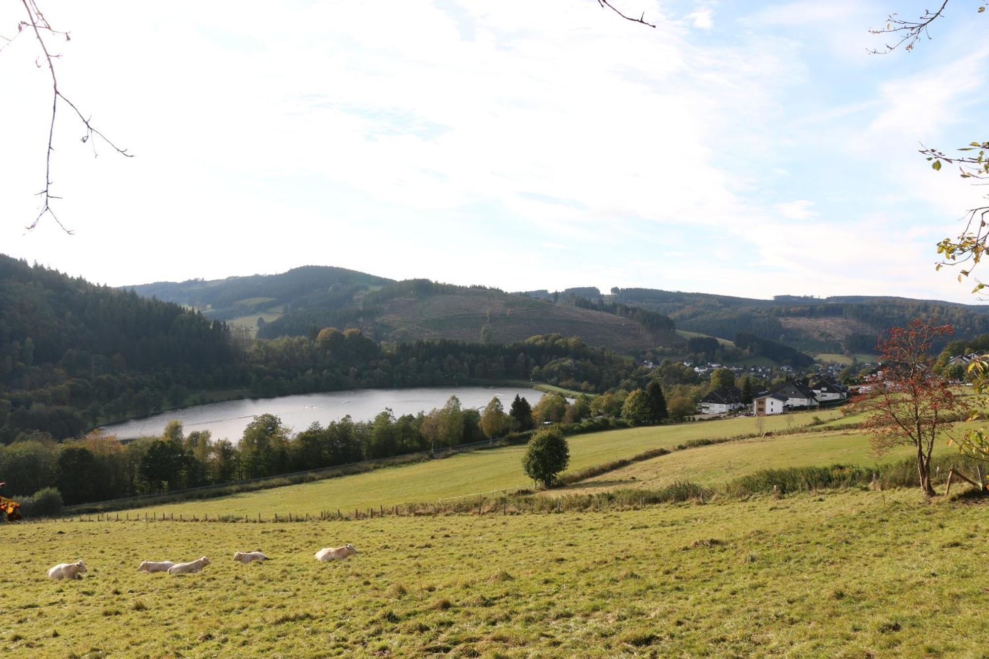 Fewo-bergseeoase *
