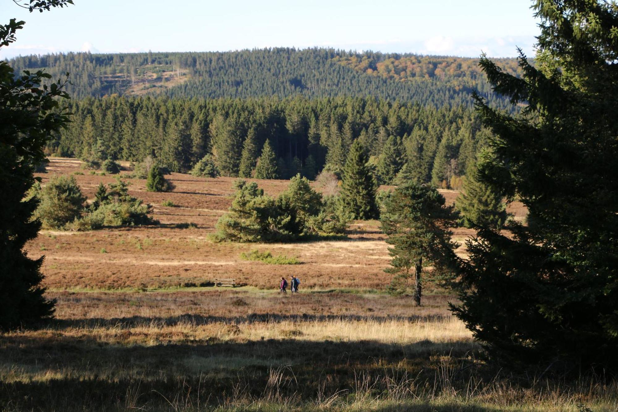 Apartamento Fewo-bergseeoase Winterberg
