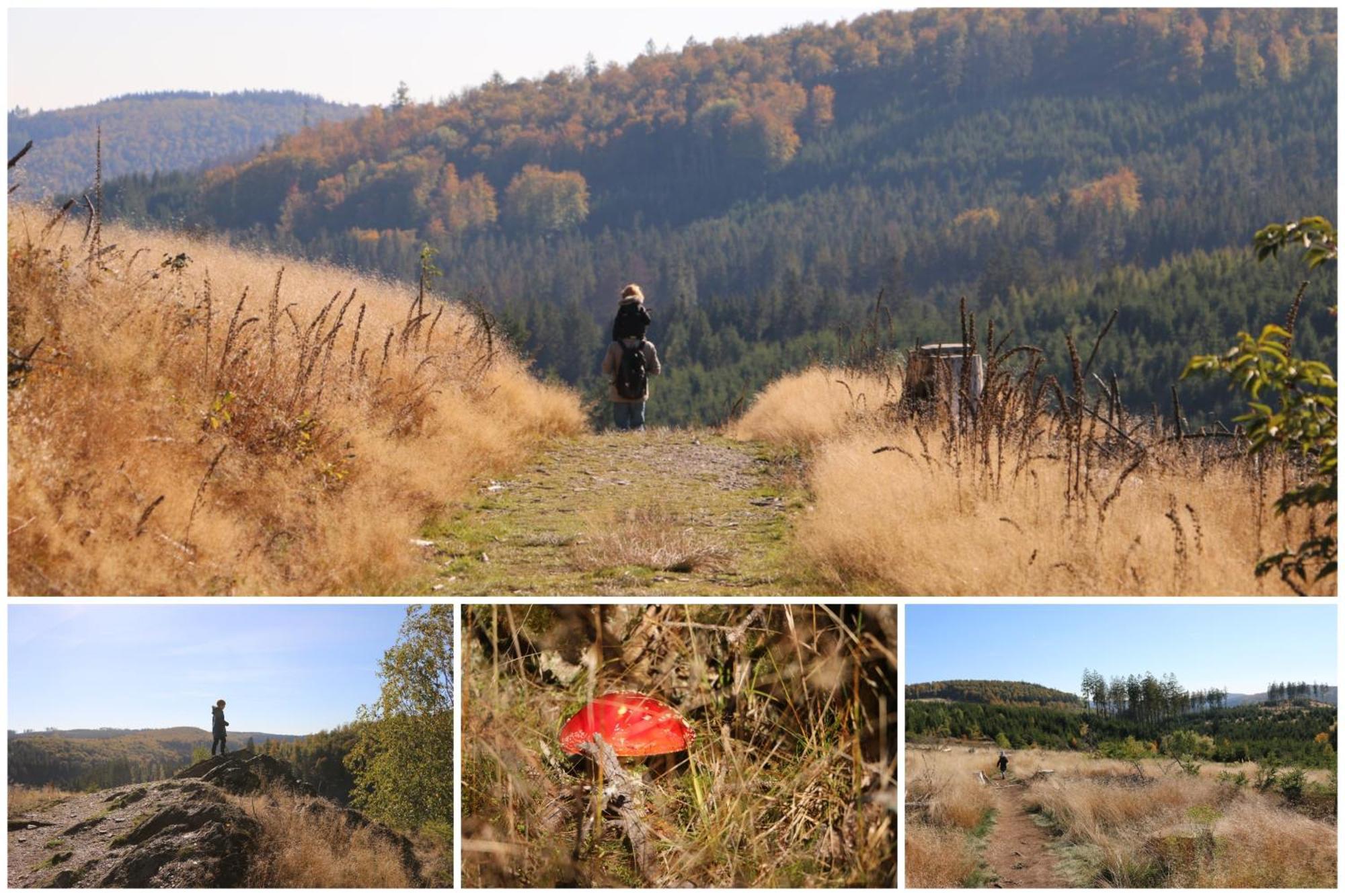 Fewo-bergseeoase * Winterberg