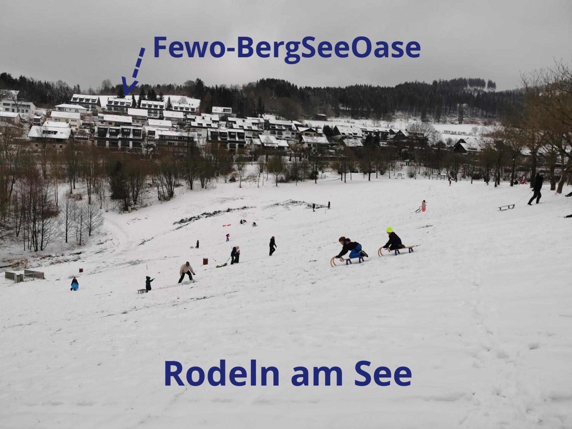 Fewo-bergseeoase Winterberg